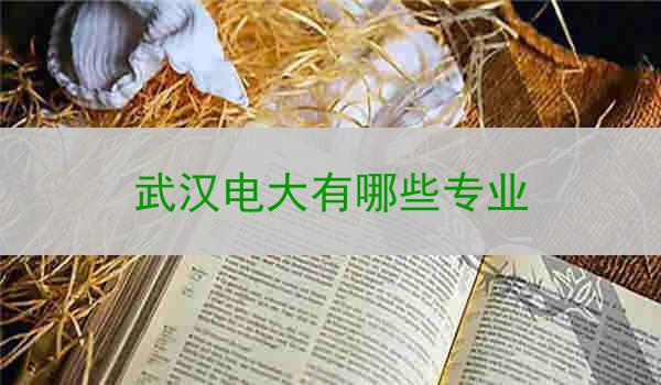 武汉电大有哪些专业