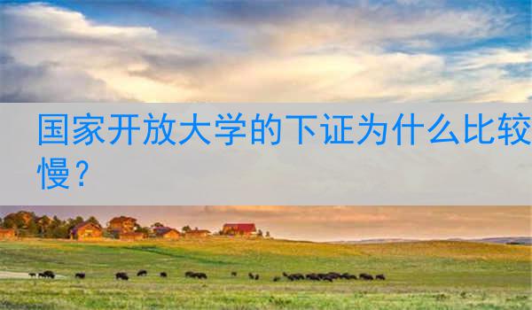 国家开放大学的下证为什么比较慢？