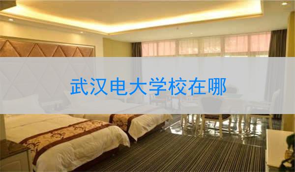武汉电大学校在哪