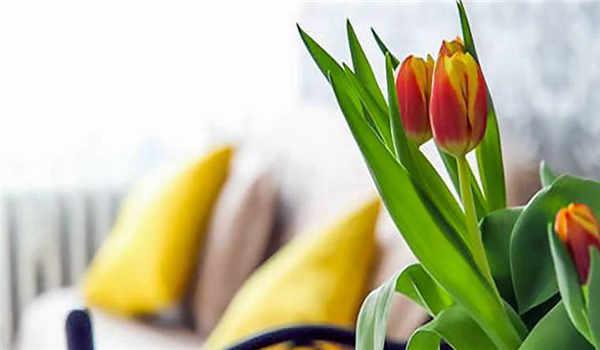 国家开放大学是全日制的么？