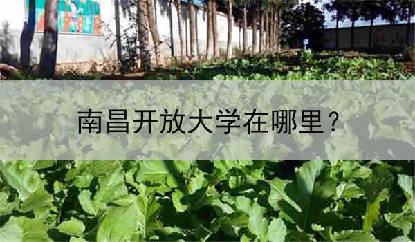 南昌开放大学在哪里？