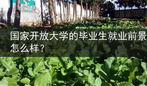国家开放大学的毕业生就业前景怎么样？