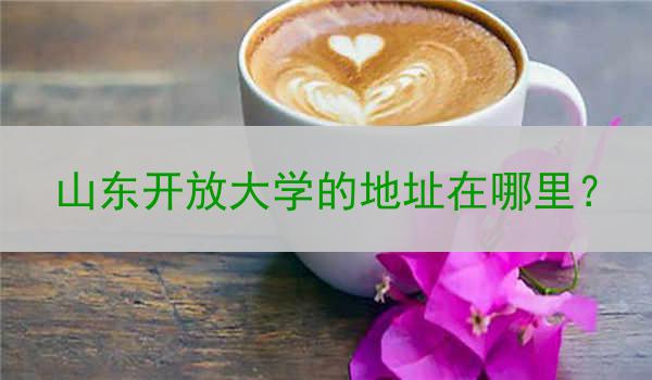 山东开放大学的地址在哪里？
