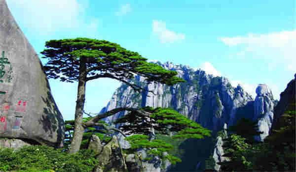 国家开放大学和自考的相同点有哪些？