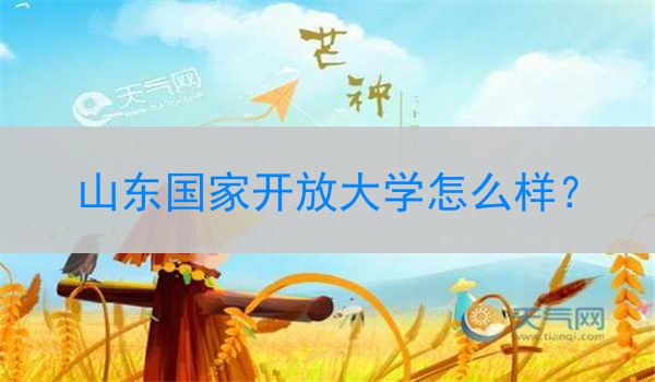 山东国家开放大学怎么样？