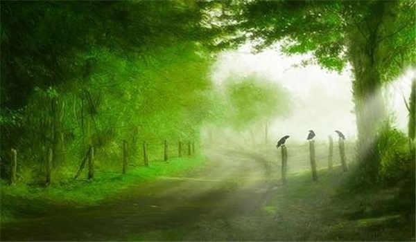 国家开放大学中哪个专业不考数学？