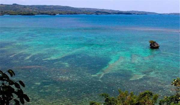 国家开放大学学费是一年一交吗？