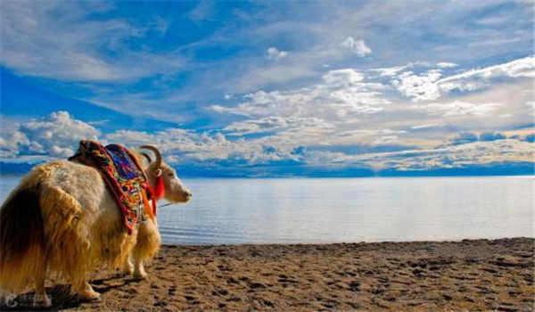 贵阳开放大学报考哪些专业比较好？