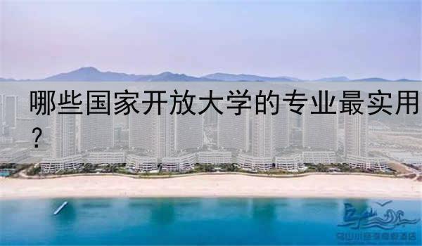 哪些国家开放大学的专业最实用？