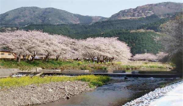 报考国家开放大学受地区限制吗？