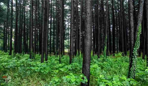 国家开放大学的学费用一次交齐吗？