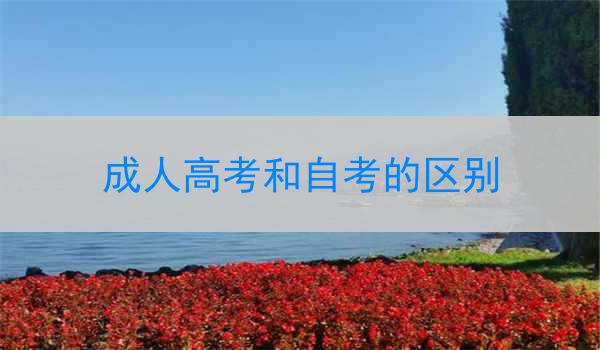 成人高考和自考的区别