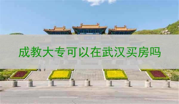 成教大专可以在武汉买房吗