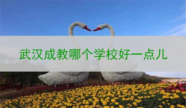 武汉成教哪个学校好一点儿