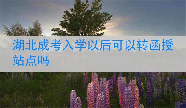 湖北成考入学以后可以转函授站点吗