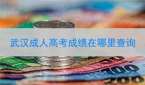 武汉成人高考成绩在哪里查询