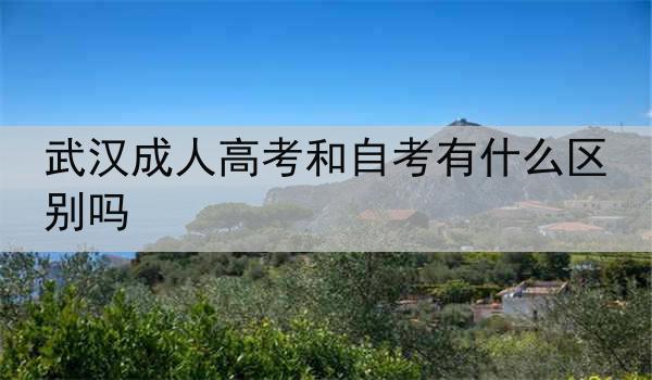 武汉成人高考和自考有什么区别吗