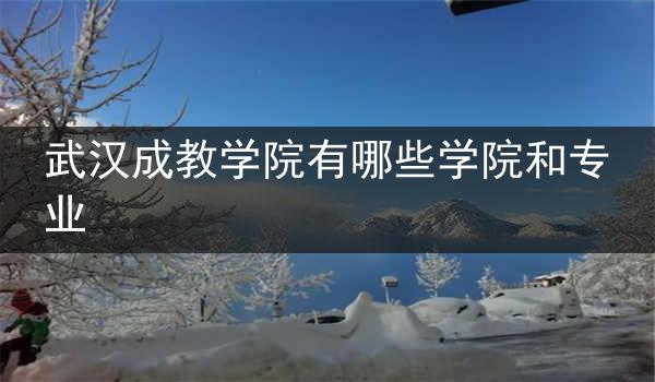 武汉成教学院有哪些学院和专业