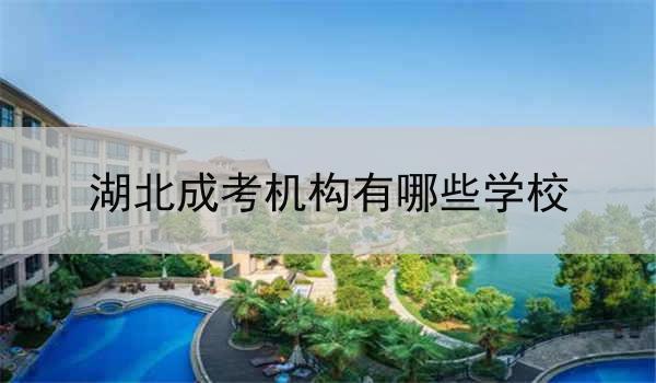 湖北成考机构有哪些学校
