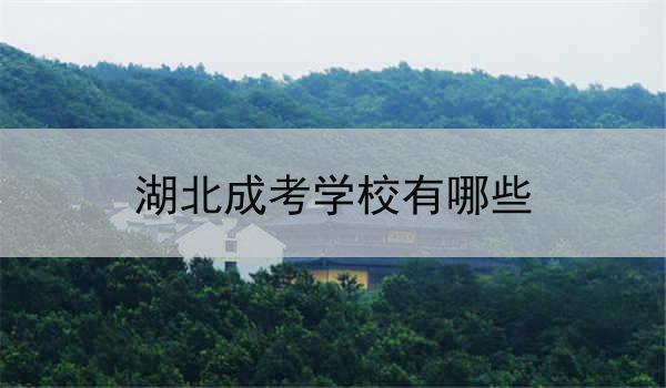 湖北成考学校有哪些