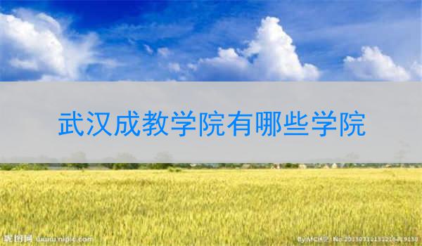 武汉成教学院有哪些学院