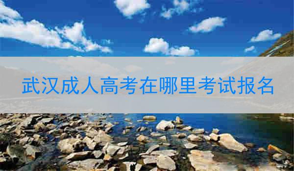 武汉成人高考在哪里考试报名