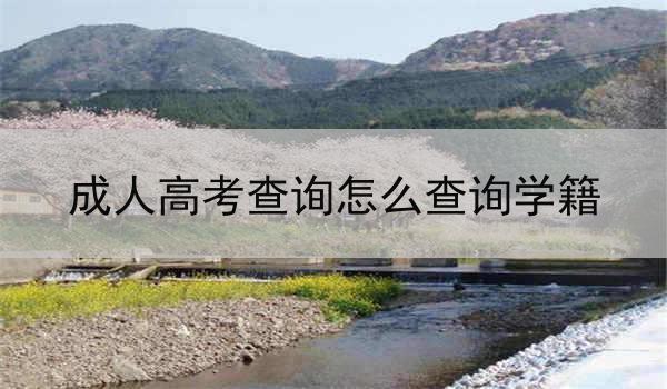 成人高考查询怎么查询学籍