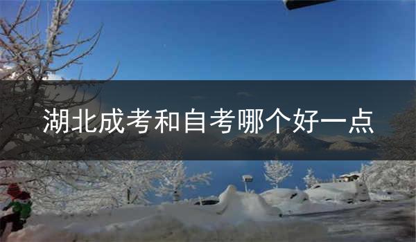 湖北成考和自考哪个好一点
