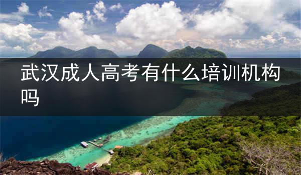 武汉成人高考有什么培训机构吗