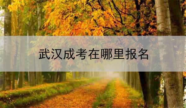 武汉成考在哪里报名
