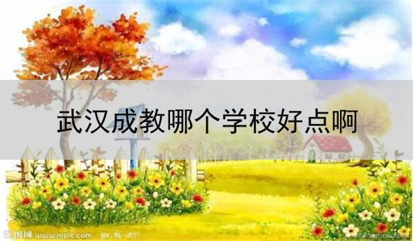 武汉成教哪个学校好点啊