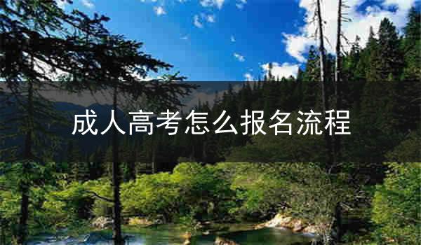 成人高考怎么报名流程
