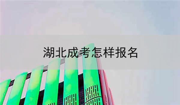 湖北成考怎样报名
