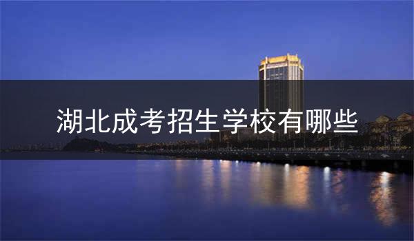 湖北成考招生学校有哪些