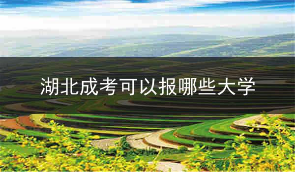 湖北成考可以报哪些大学