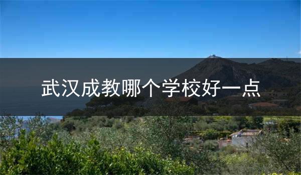 武汉成教哪个学校好一点