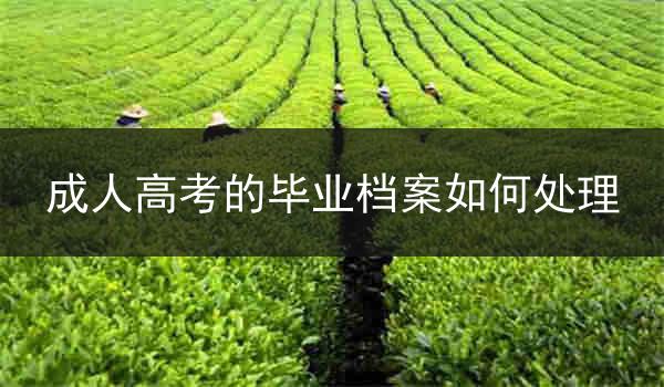 成人高考的毕业档案如何处理
