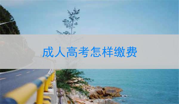 成人高考怎样缴费