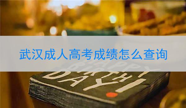 武汉成人高考成绩怎么查询