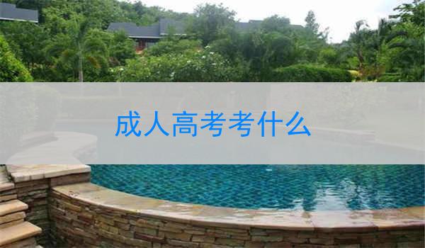 成人高考考什么