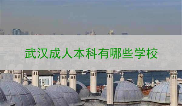 武汉成人本科有哪些学校