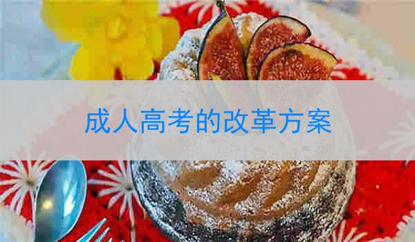 成人高考的改革方案