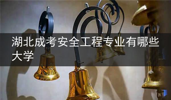 湖北成考安全工程专业有哪些大学