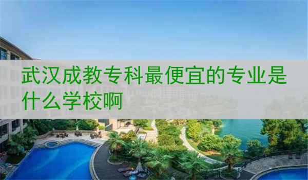 武汉成教专科最便宜的专业是什么学校啊