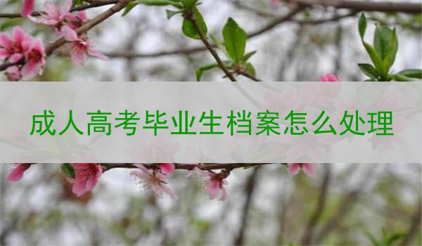 成人高考毕业生档案怎么处理