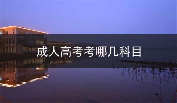 成人高考考哪几科目