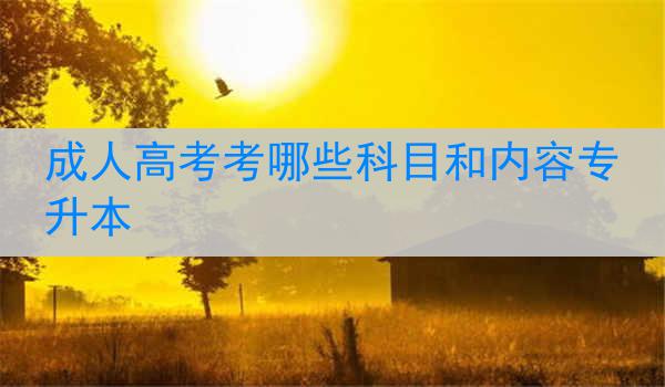 成人高考考哪些科目和内容专升本