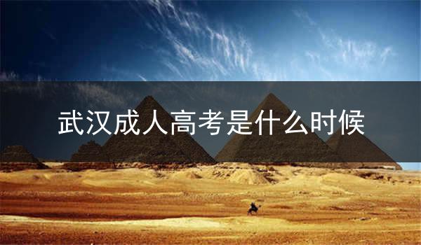 武汉成人高考是什么时候