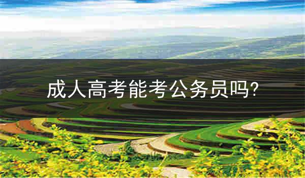 成人高考能考公务员吗?