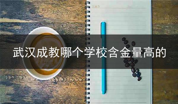 武汉成教哪个学校含金量高的